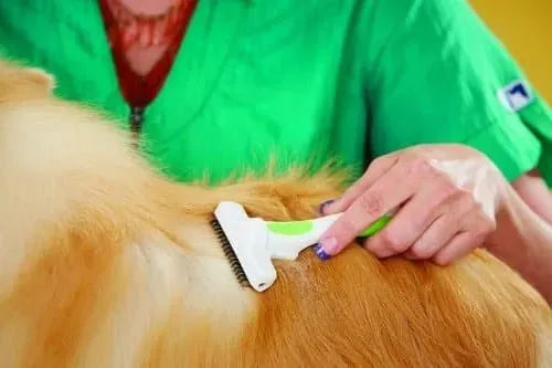 Deslanador Andis Versatil M - Imperio Grooming